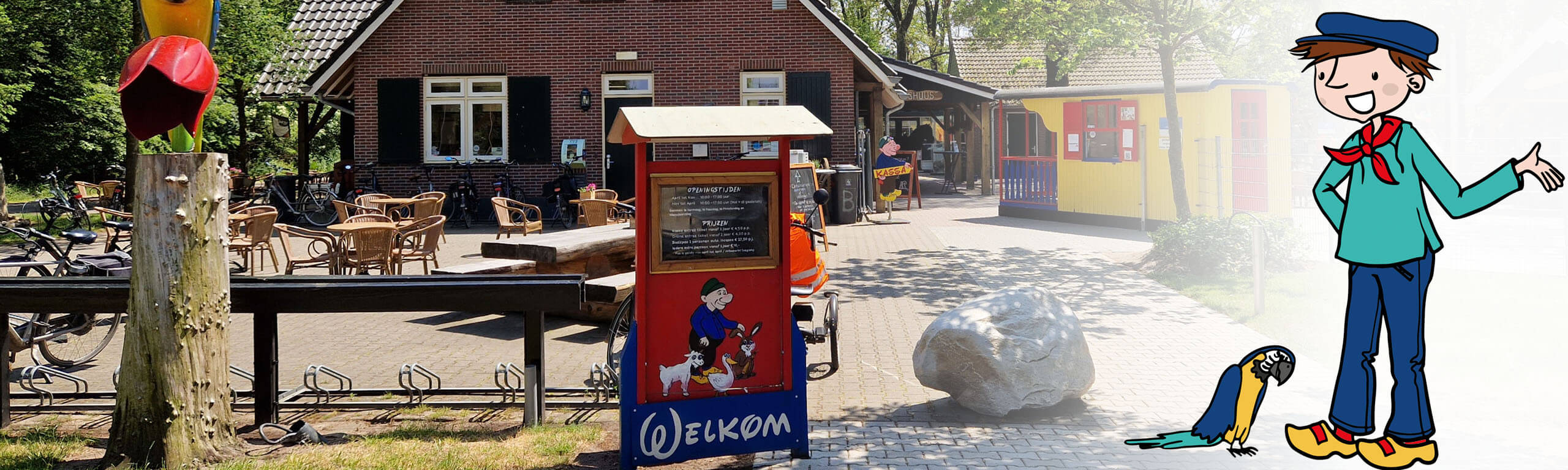 Organisatie structuur