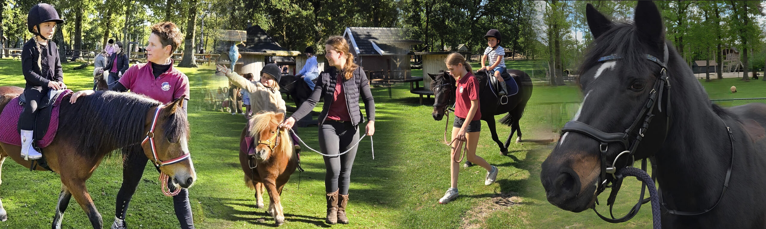 ponyritjes